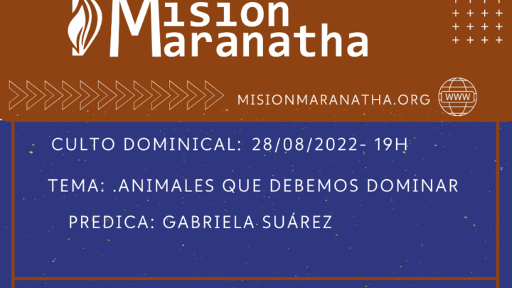 Domingo, 28 de Agosto a las 19h en directo desde www.misionmaranatha.org/canaldirecto/